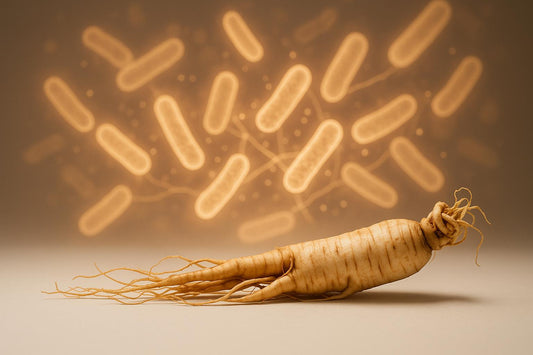 Panax Ginseng and Gut Microbiota: Study Insights