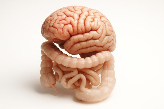 Gluten, Leaky Gut, and Brain Inflammation