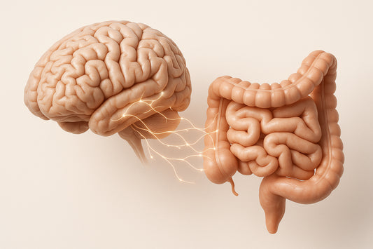 Gut Microbiota and Brain Inflammation: Connection