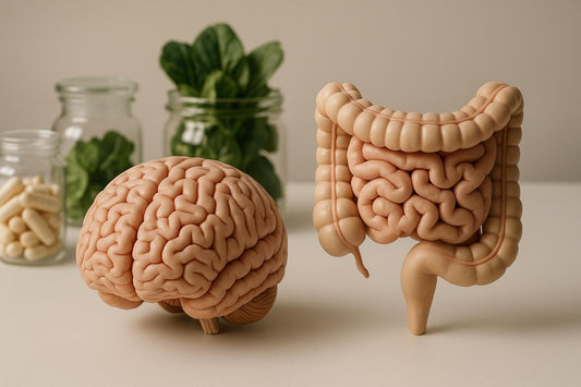 Gut Microbiota and Neurotransmitters: Key Insights