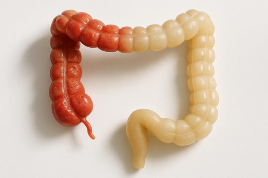 Gut Barrier Damage vs. Repair: Biomarker Insights