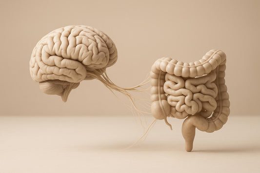 Study Links Stroke Events to Gut Microbiome Adaptations