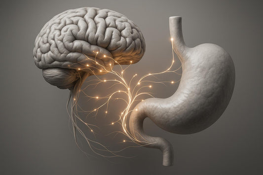 Gut-Brain Axis and Inflammation: Immune System Role