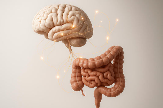 Gut-Brain Axis: Endocrine Pathways and Dysbiosis