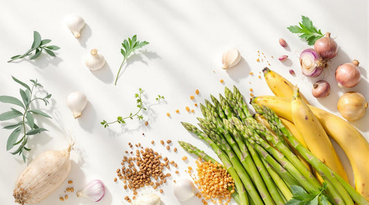 Ultimate Guide to Prebiotic Mechanisms