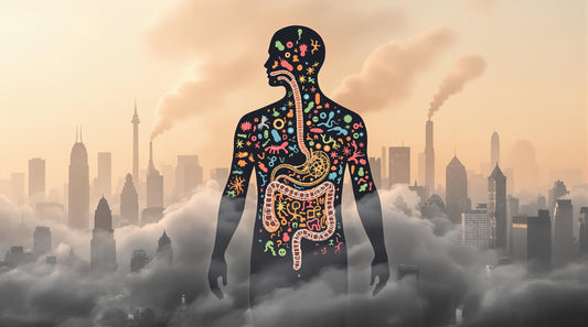 Air Pollution Effects on Gut Microbiota