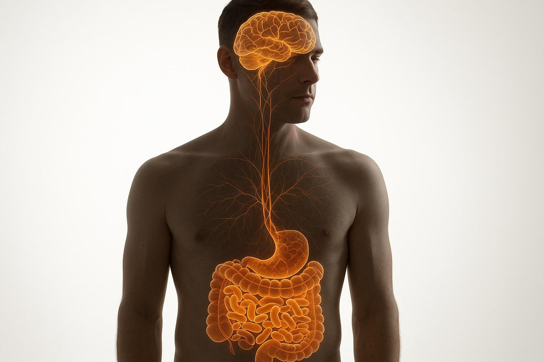 Gut Dysbiosis and Mood Disorders: Key Neurotransmitter Links
