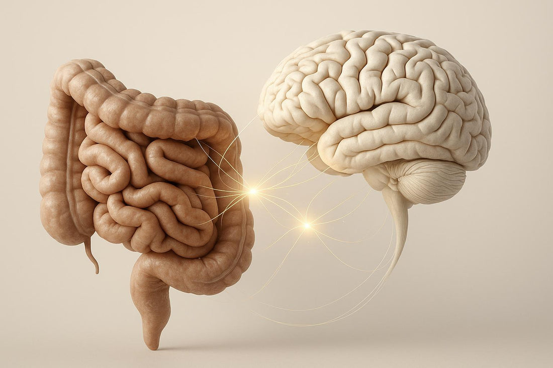 Gut-Brain Axis: Role of Bifidobacterium Infantis in Serotonin