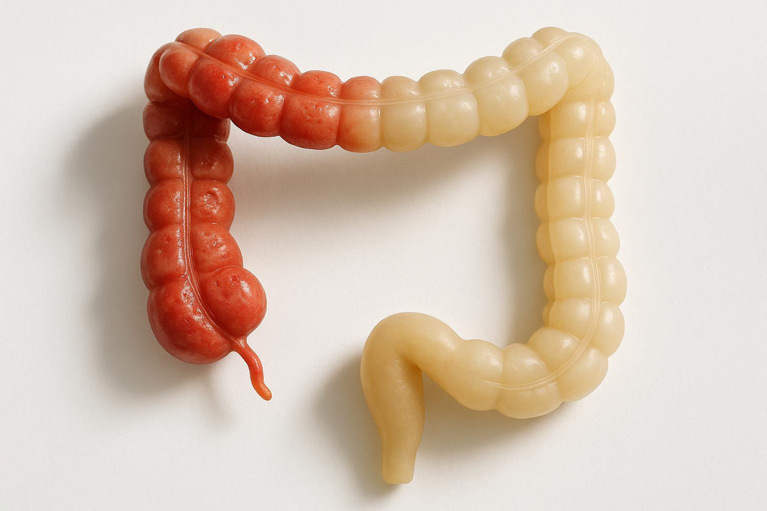 Gut Barrier Damage vs. Repair: Biomarker Insights