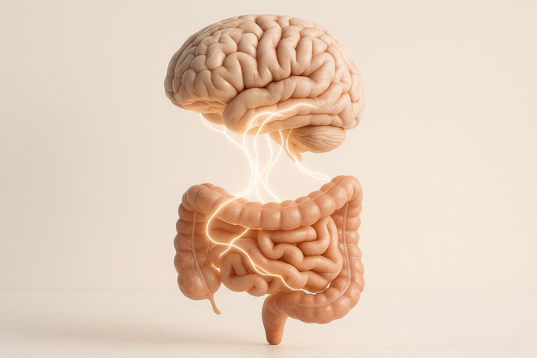 Gut-Brain Axis and Depression: Role of Lactobacillus helveticus