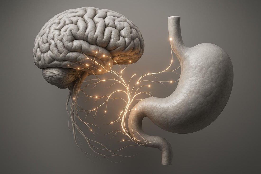 Gut-Brain Axis and Inflammation: Immune System Role