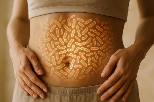 How Stress Disrupts Gut Microbiota and Ways to Fix It