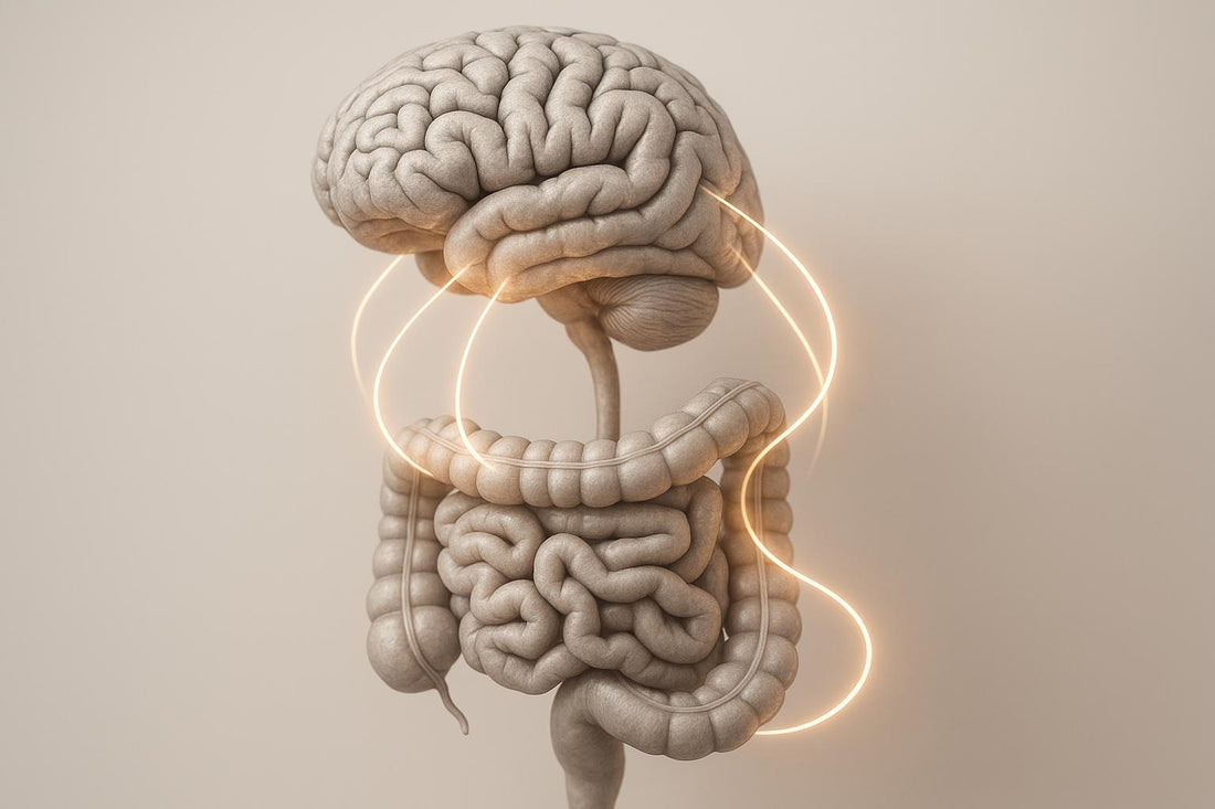 Gut-Brain Axis: Probiotics and Neurotransmitter Links