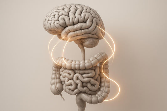 Gut-Brain Axis: Probiotics and Neurotransmitter Links