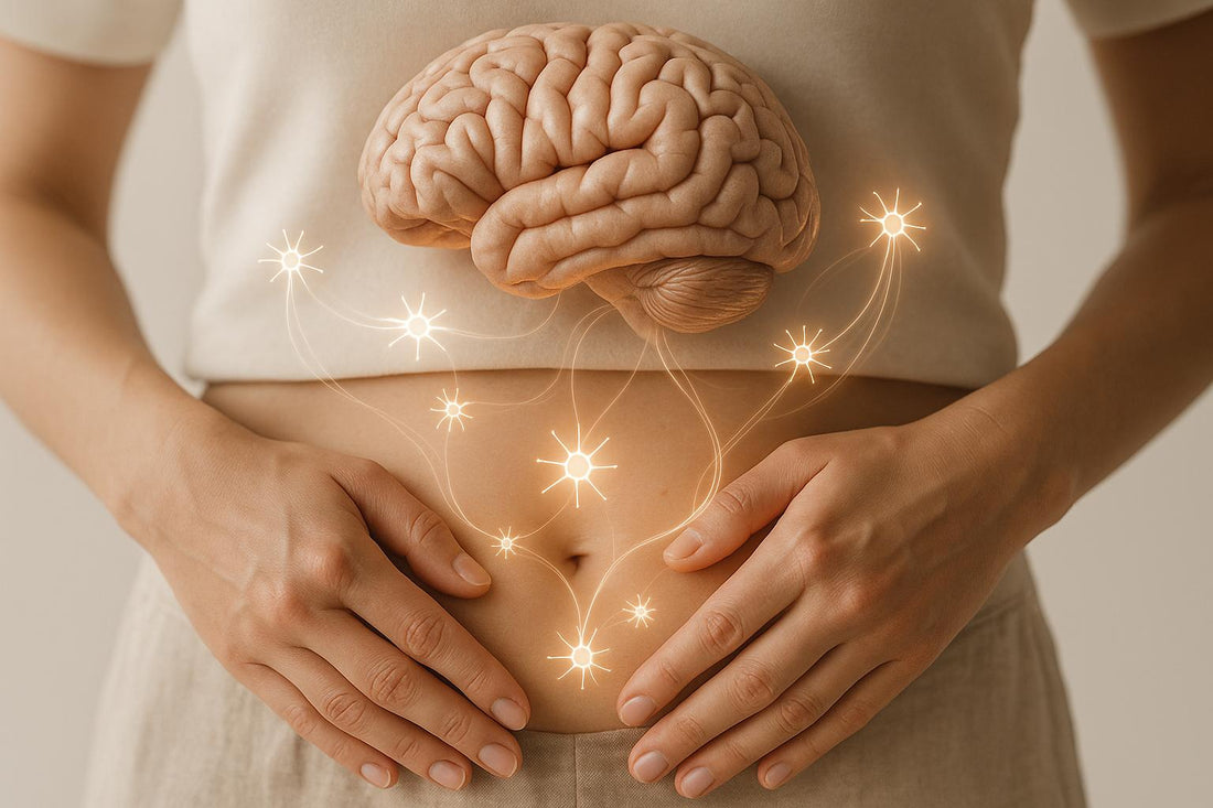 Stress, Neuroinflammation, and the Gut-Brain Axis